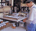 ���I�����Ă���