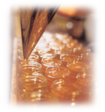 �����Ă���